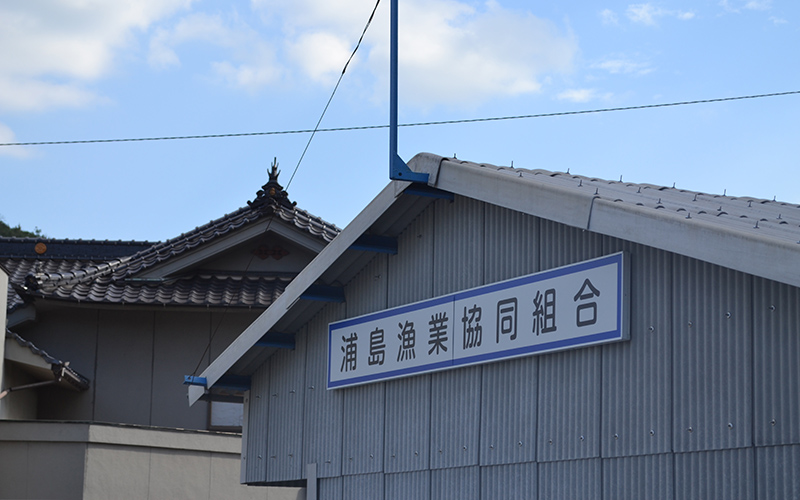 襷（タスキ）ライフジャケットで助かった。山と海に囲まれた坂の町、広島の尾道にある浦島漁港では、 2010年にライフジャケットによって2人のいのちが助かりました。ライフジャケットを着ていた背景には、ライフガードレディース(LGL)の活躍もあり、下見さんと吉岡さんにそれぞれ別の船で起きた落水時の体験を伺いました。